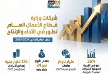 قطاع الأعمال العام