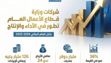 قطاع الأعمال العام