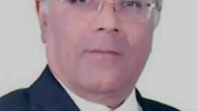 النائب الدكتور محمد عطيه الفيومي