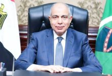 عماد كدواني، محافظ المنيا