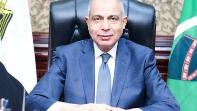 عماد كدواني، محافظ المنيا