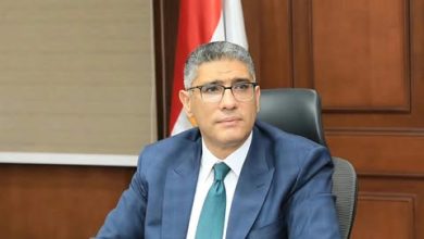 محافظ الجيزة