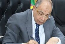 محافظ المنيا