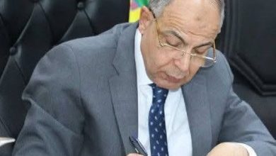 محافظ المنيا