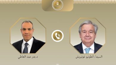 وزير الخارجية المصري يناقش الاستقرار الإقليمي مع الأمين العام للأمم المتحدة