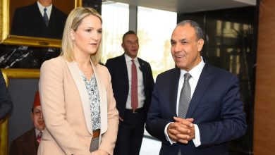 مصر وأيرلندا تعقدان مشاورات حول الأزمات الإقليمية