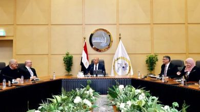 كامل الوزير