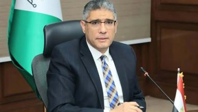 المهندس عادل النجار