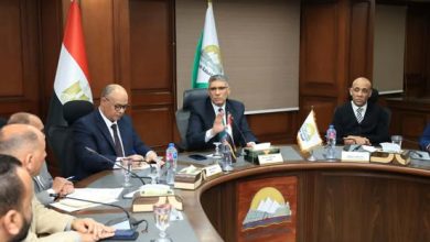 محافظ الجيزة