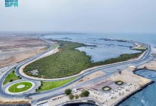 جزيرة المرجان بجازان