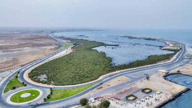 جزيرة المرجان بجازان