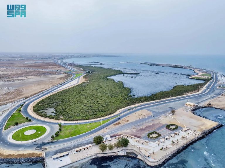 جزيرة المرجان بجازان