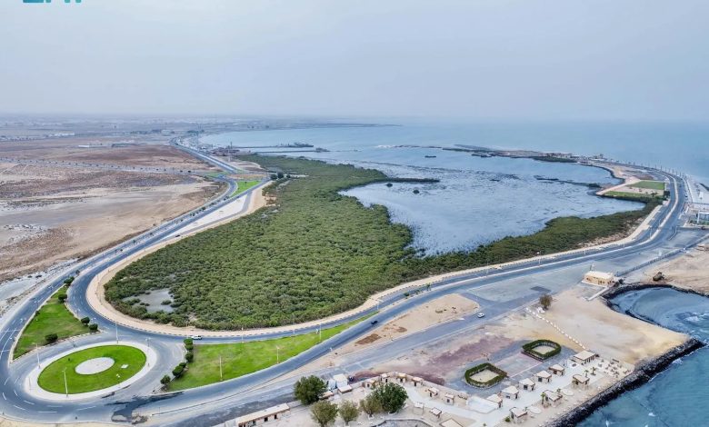 جزيرة المرجان بجازان