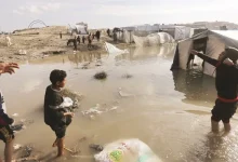 منظمة الصحة العالمية: وفاة 10 أطفال بسبب البرد في غزة