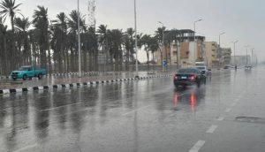 الطقس غدًا.. برودة شديدة ليلاً وشبورة وأمطار خفيفة على بعض المناطق