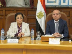 نائب وزير الصحة ومحافظ القاهرة يشاركان في اجتماع المجلس الإقليمي للسكان