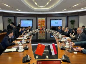 في إطار زيارته إلى الصين.. وزير الكهرباء يشهد اتفاقية تعاون لتوطين صناعة الخلايا الشمسية