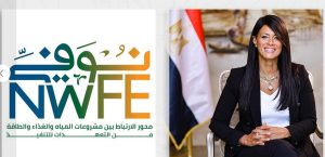 فوز مشروع «أبيدوس 2» للطاقة الشمسية بجائزة الصفقة الأفريقية للعام