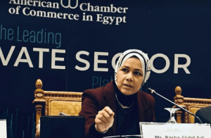 رشا عبدالعال: الحزمة الثانية من التسهيلات الضريبية تُرسخ الثقة وتُكافئ الممول الملتزم