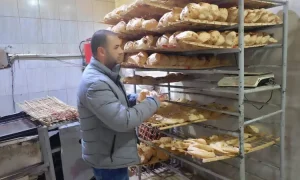 تموين المنيا يحرر 383 مخالفة خلال حملات رقابية موسعة على المخابز والأسواق