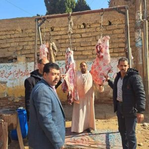 بيطرى المنيا: ضبط 252 كجم لحوم غير صالحة وأخرى مذبوحة خارج المجازر