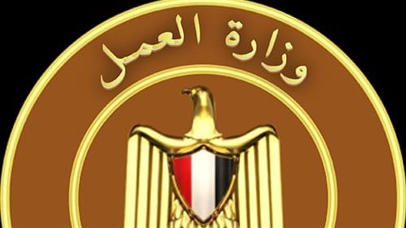 التفتيش على 1695 منشأة يعمل بها أكثر من 30 ألف عامل