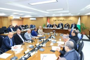 محافظ الجيزة يعلن بدء رصف وتطوير شارع ناهيا ببولاق الدكرور