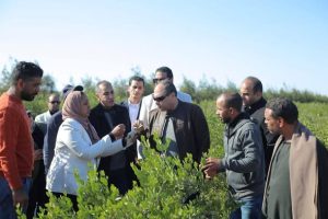 رئيس هيئة تنمية الصعيد يتفقد ويتابع عملية حصاد محصول الجوجوبا بمحافظة البحر الأحمر