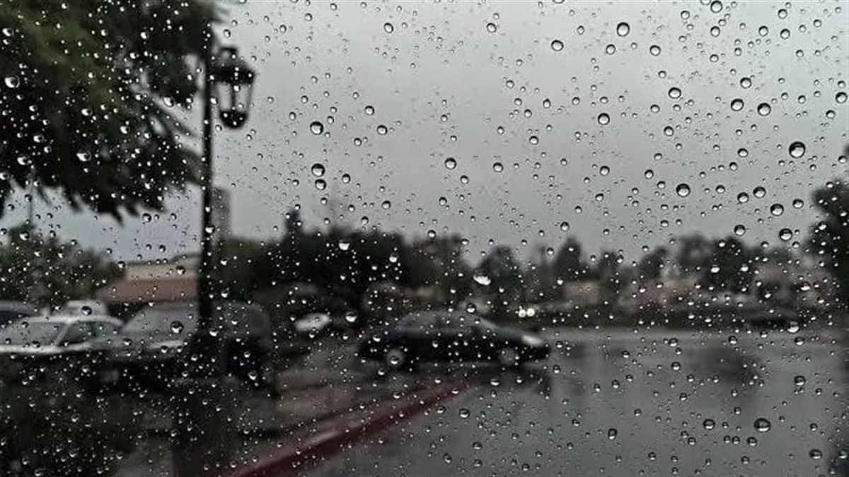 طقس غدًا الخميس.. شبورة وأمطار خفيفة واضطراب بالملاحة البحرية