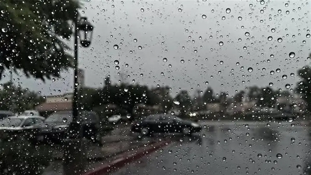 طقس غدًا الخميس.. شبورة وأمطار خفيفة واضطراب بالملاحة البحرية