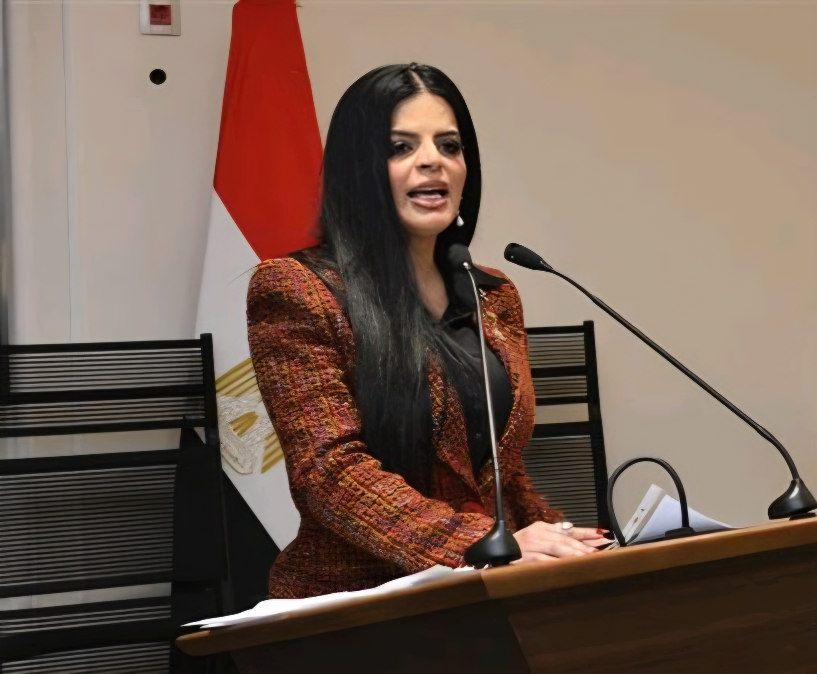 ​بمقترح من “زينب بشير”.. تحرك برلماني لإنشاء “مجلس أعلى للذكاء الاصطناعي” برئاسة السيسي