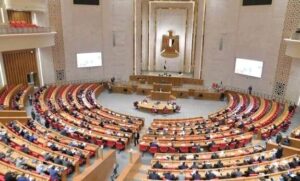 ​خارجية النواب: تحركات مصرية مكثفة لحماية الجاليات المصرية ودعوات دولية للتهدئة