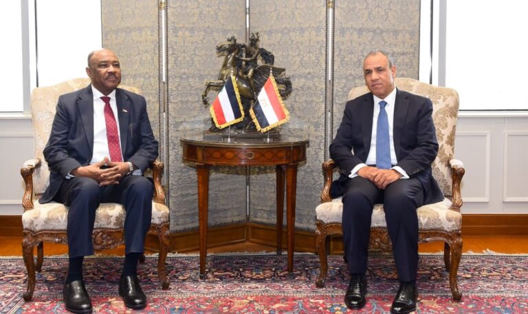 مصر تؤكد دعمها لوحدة السودان وتعزيز جهود التسوية الشاملة