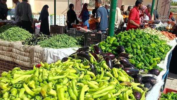 ارتفاع كبير في أسعار الخضروات وتباين الفاكهة اليوم بالأسواق