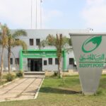 البريد المصري