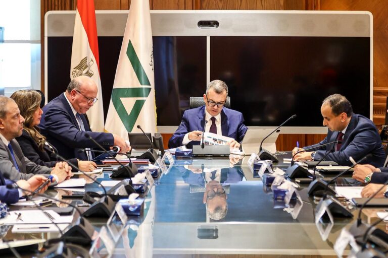 أحمد رستم وزير التخطيط والتنمية الاقتصادية