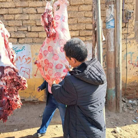 محافظ المنيا: تحرير 3983 محضرًا تموينيًا خلال يناير الماضي