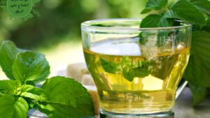 كيف يساعد النعناع على تحسين التنفس وتقليل أعراض البرد والإنفلونزا