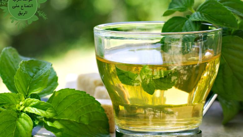 كيف يساعد النعناع على تحسين التنفس وتقليل أعراض البرد والإنفلونزا