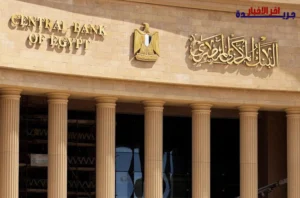 المركزي: «رواد النيل» تقدم أكثر من 1.16 مليون خدمة غير مالية