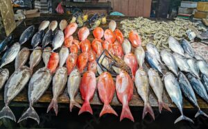 أسعار الأسماك والمأكولات البحرية اليوم