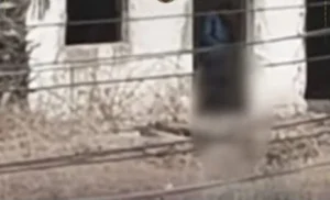 القبض على شاب لقيامه بارتكاب أفعال خادشة للحياء بجوار السكة الحديد بالبحيرة