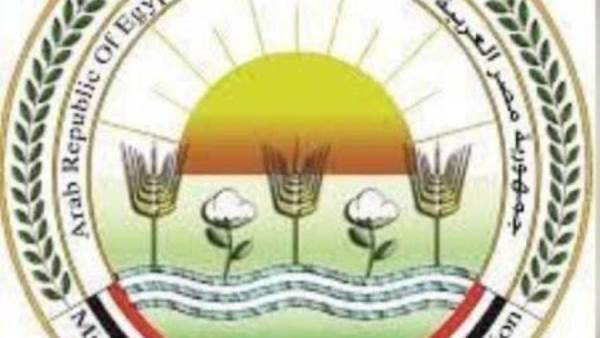 مصر تستعد لاستضافة جولة “لونجين” العالمية للفروسية 2026 عند الأهرامات