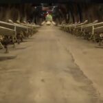 الحرس الثوري الإيراني يشن هجمات واسعة على أهداف أميركية في الخليج