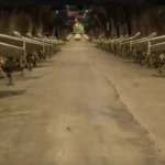 الحرس الثوري الإيراني يشن هجمات واسعة على أهداف أميركية في الخليج