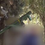 حزب الله يهاجم القوات الإسرائيلية وجيش الاحتلال يرد بغارات على لبنان