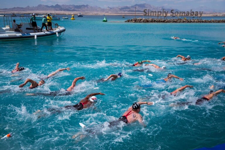 كأس العالم للسباحة