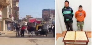 الداخلية تضبط شخصين لتعديهما على حصان بالعصا بالغربية