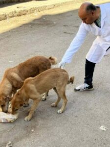 بيطري المنيا يواصل تنفيذ الحملة القومية لمكافحة السعار خلال شهر مارس