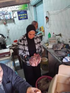 حملات بيطرية مكثفة بالمنيا تضبط 177 كجم لحوم وأسماك فاسدة